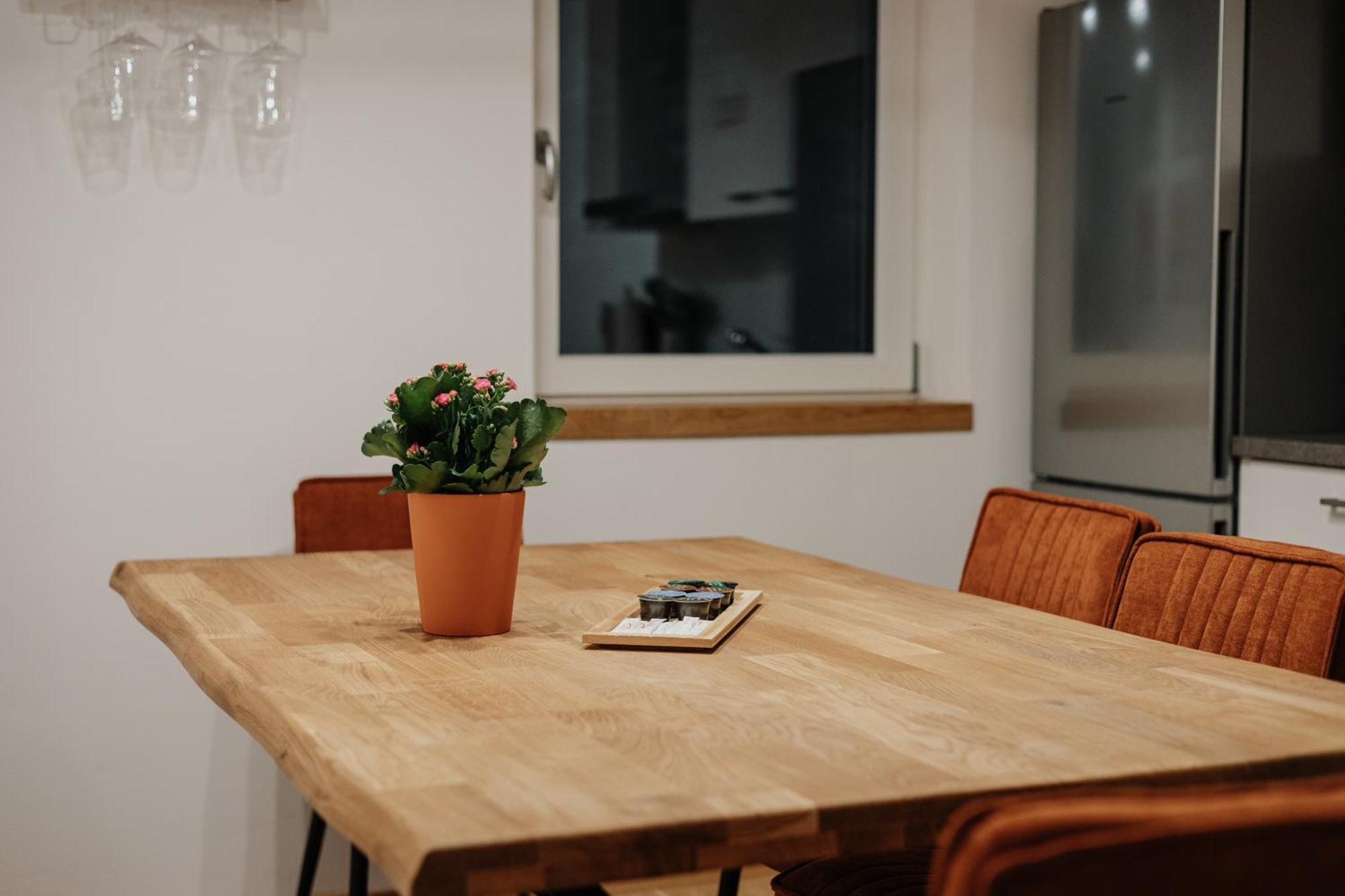 Passaus Motto Appartements! Solo - Paerchen - Familien - Gruppen 客房 照片