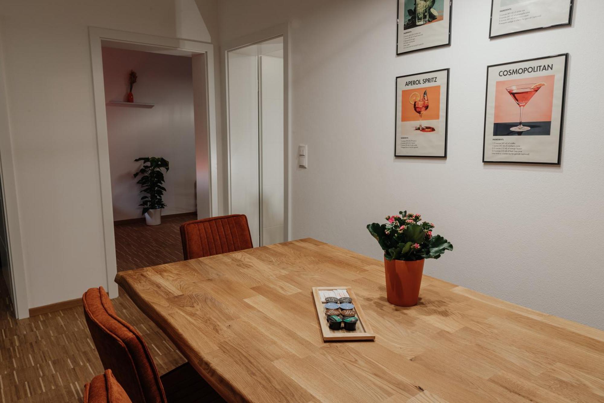 Passaus Motto Appartements! Solo - Paerchen - Familien - Gruppen 客房 照片